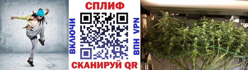 ОМГ ОМГ сайт  Снежногорск  МАРИХУАНА сатива 